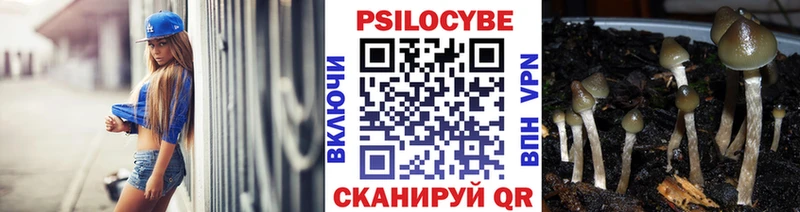 KRAKEN онион  Шилка  Псилоцибиновые грибы MAGIC MUSHROOMS  магазин продажи наркотиков 